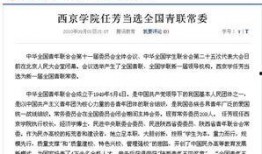 西京最新爆料事件,揭秘事件背后惊人真相